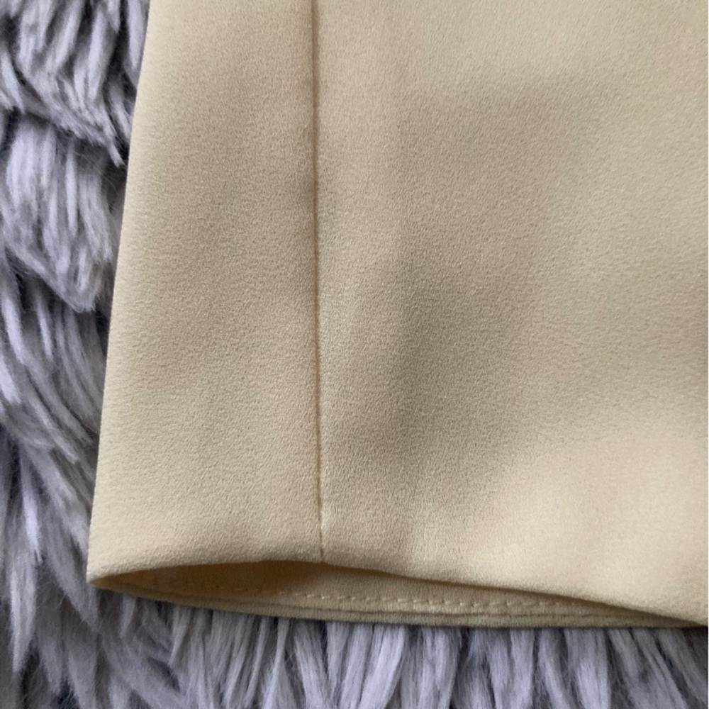 Aritzia Babaton XS Sleeveless Top - Picture 6 of 8